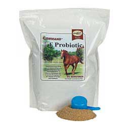 Command FT Probiotic Pack Brookside Supplements